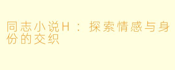 同志小说H：探索情感与身份的交织