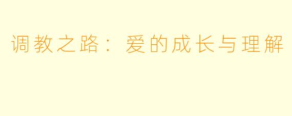 调教之路：爱的成长与理解