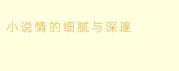 小说情的细腻与深邃