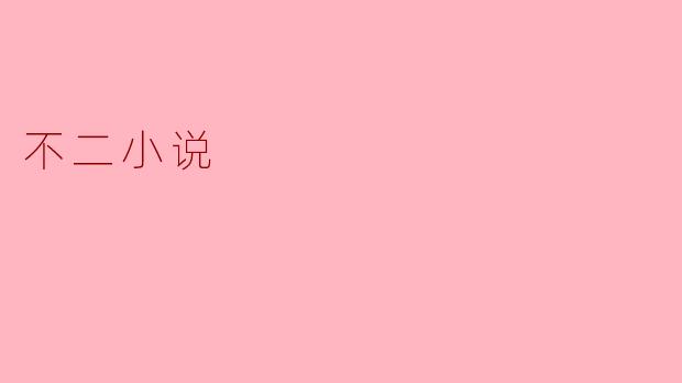 什么是“不二小说”,它的主要特点是什么?