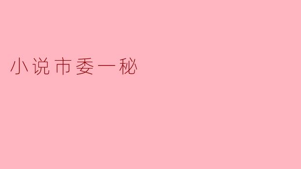 小说市委一秘