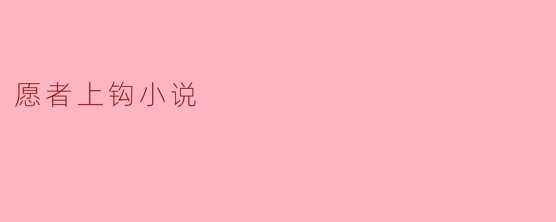 愿者上钩小说