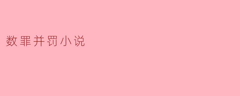 数罪并罚小说