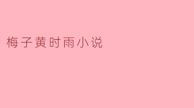 梅子黄时雨小说