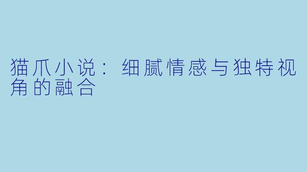 猫爪小说：细腻情感与独特视角的融合