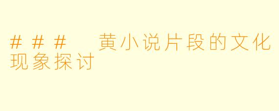 ### 黄小说片段的文化现象探讨