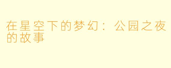 在星空下的梦幻：公园之夜的故事