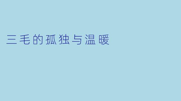 三毛的孤独与温暖