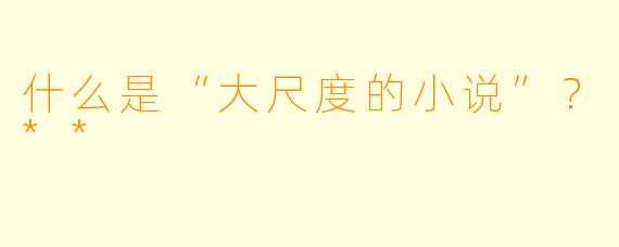什么是“大尺度的小说”?**