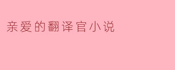 亲爱的翻译官小说