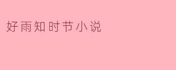 好雨知时节小说