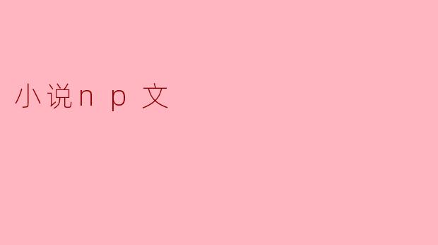 小说np文