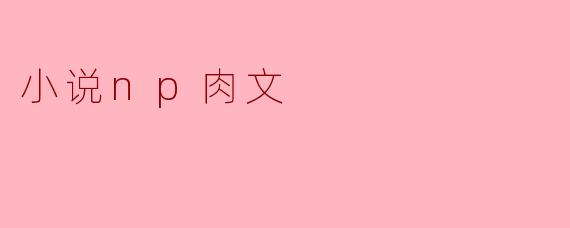小说np肉文
