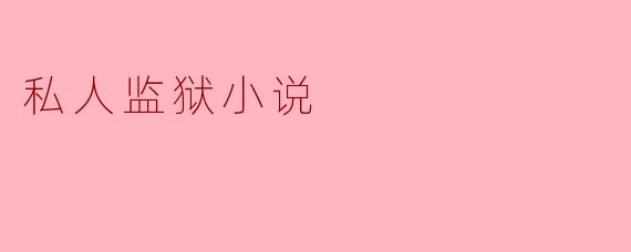 私人监狱小说
