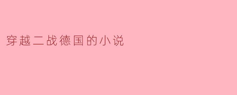 穿越二战德国的小说
