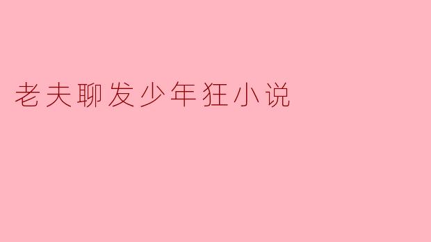 老夫聊发少年狂小说