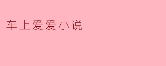 车上爱爱小说