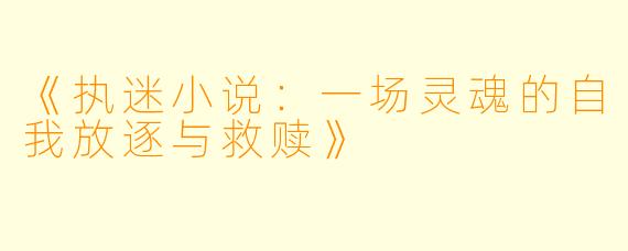 《执迷小说:一场灵魂的自我放逐与救赎》
