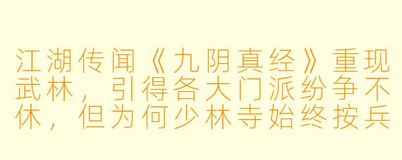 江湖传闻《九阴真经》重现武林，引得各大门派纷争不休，但为何少林寺始终按兵不动，莫非其中另有隐情？