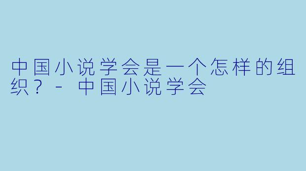 中国小说学会是一个怎样的组织?