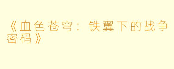 《血色苍穹：铁翼下的战争密码》