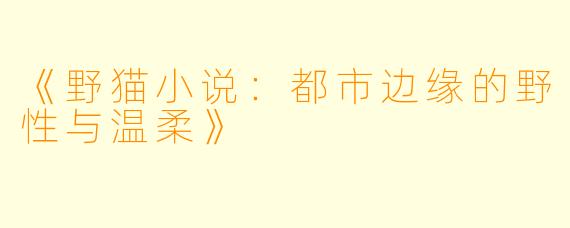 《野猫小说:都市边缘的野性与温柔》
