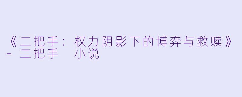 《二把手：权力阴影下的博弈与救赎》-二把手 小说