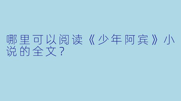 哪里可以阅读《少年阿宾》小说的全文?