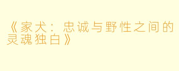 《家犬：忠诚与野性之间的灵魂独白》