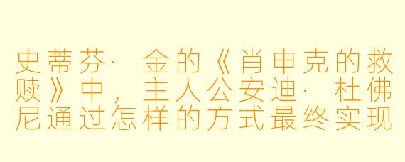 史蒂芬·金的《肖申克的救赎》中,主人公安迪·杜佛尼通过怎样的方式最终实现了越狱?
