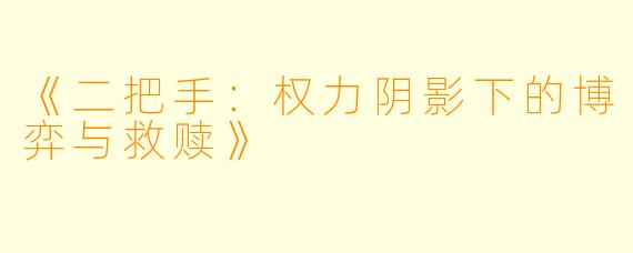 《二把手：权力阴影下的博弈与救赎》
