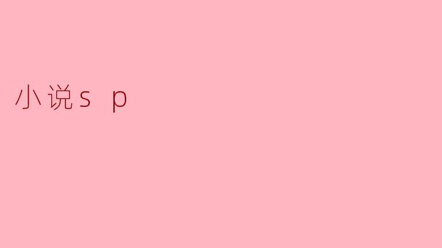 小说sp