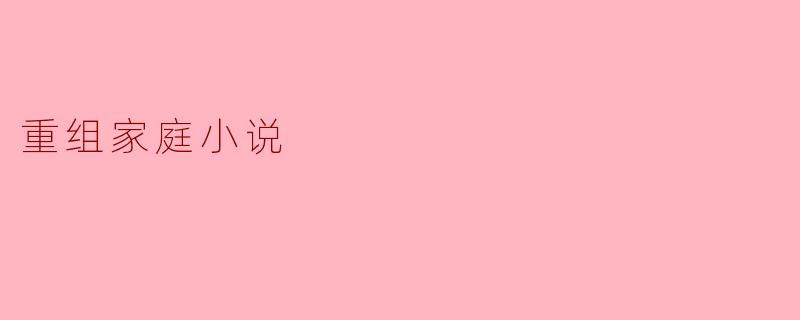 重组家庭小说