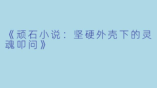 《顽石小说:坚硬外壳下的灵魂叩问》
