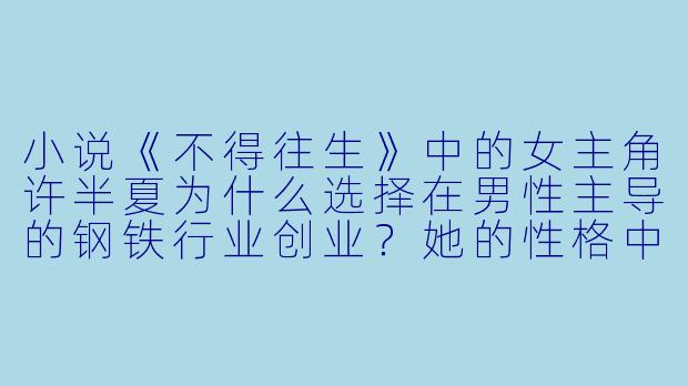 小说《不得往生》中的女主角许半夏为什么选择在男性主导的钢铁行业创业？她的性格中有哪些特质支撑她在这个领域取得成功？-不得往生小说