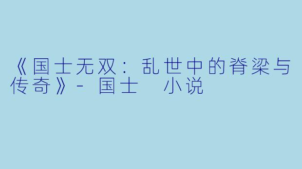 《国士无双:乱世中的脊梁与传奇》