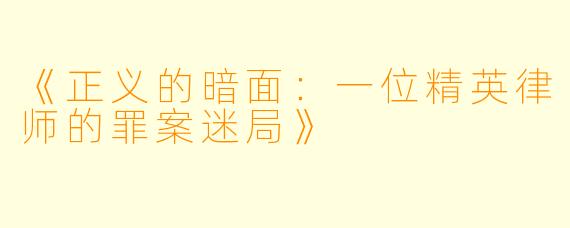 《正义的暗面：一位精英律师的罪案迷局》