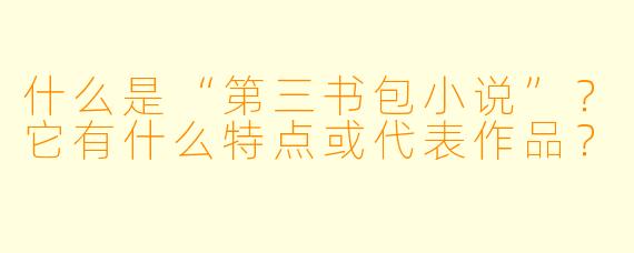 什么是“第三书包小说”?它有什么特点或代表作品?