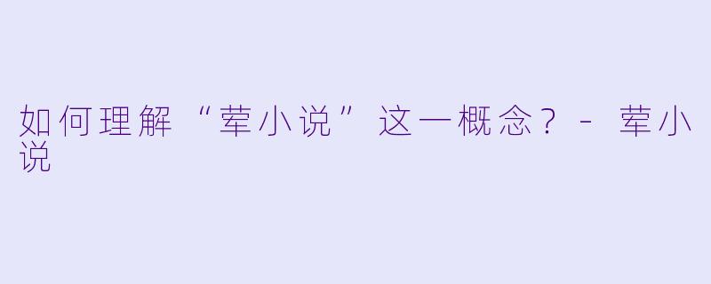 如何理解“荤小说”这一概念?