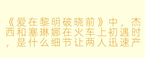 《爱在黎明破晓前》中,杰西和塞琳娜在火车上初遇时,是什么细节让两人迅速产生共鸣,并决定一同在维也纳下车?