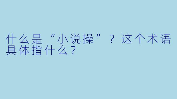 什么是“小说操”？这个术语具体指什么？