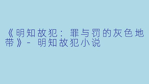 《明知故犯：罪与罚的灰色地带》-明知故犯小说