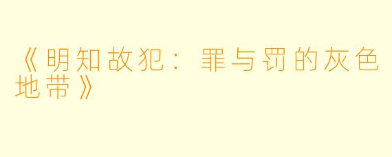 《明知故犯：罪与罚的灰色地带》