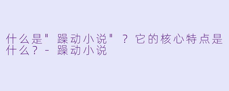 什么是"躁动小说"?它的核心特点是什么?