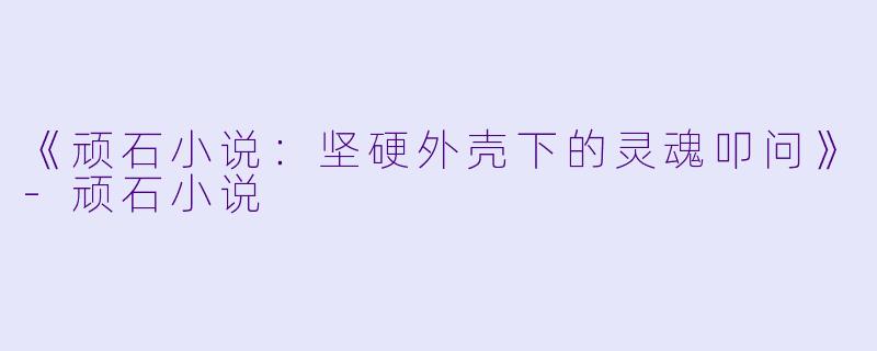 《顽石小说:坚硬外壳下的灵魂叩问》