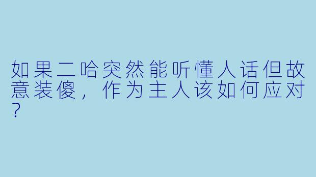 如果二哈突然能听懂人话但故意装傻,作为主人该如何应对?