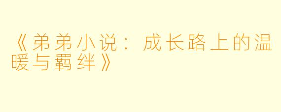 《弟弟小说：成长路上的温暖与羁绊》