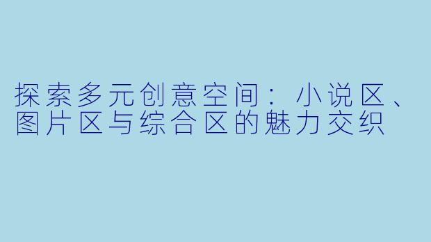 探索多元创意空间：小说区、图片区与综合区的魅力交织
