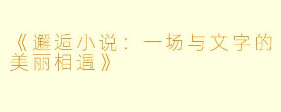 《邂逅小说：一场与文字的美丽相遇》