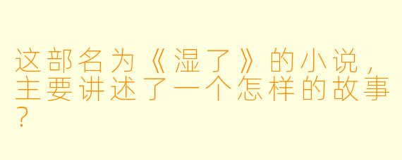 这部名为《湿了》的小说，主要讲述了一个怎样的故事？